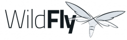 Wildfly