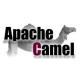 Category for Apache Camel