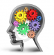 Category for Business Intelligence