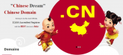Category for China Business
