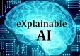 Category for Explainable AI (XAI)
