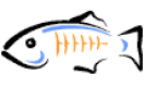 Category for GlassFish
