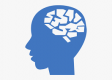 Category for Human Factors