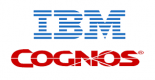 Category for IBM Cognos