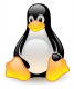 Category for Linux Training in Uzbekistan