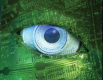 Category for Machine Vision