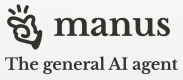 Category for Manus AI
