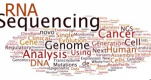 Category for Microbial Genomics