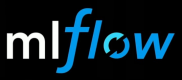 Category for MLflow