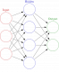 Category for Neural Networks