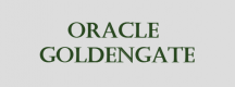 Category for Oracle GoldenGate Training in Uzbekistan