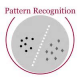 Category for Pattern Recognition