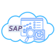 Category for SAP Analytics Cloud