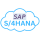Category for SAP S/4HANA