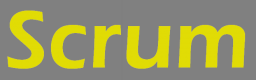 Category for Scrum