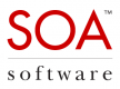 Category for SOA Governance
