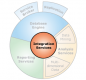 Category for SSIS Training in Uzbekistan