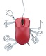 Category for Web Services Training in Uzbekistan